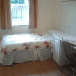 Hostel Courtbrack - Off Campus Limerick Junction